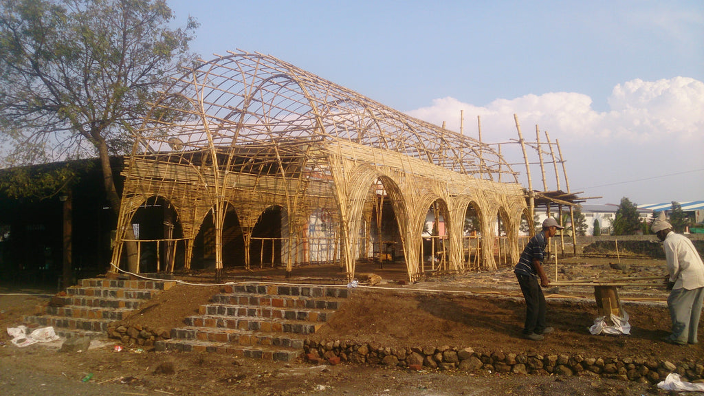 Bamboo Vault- Elliptical Barrel Vault