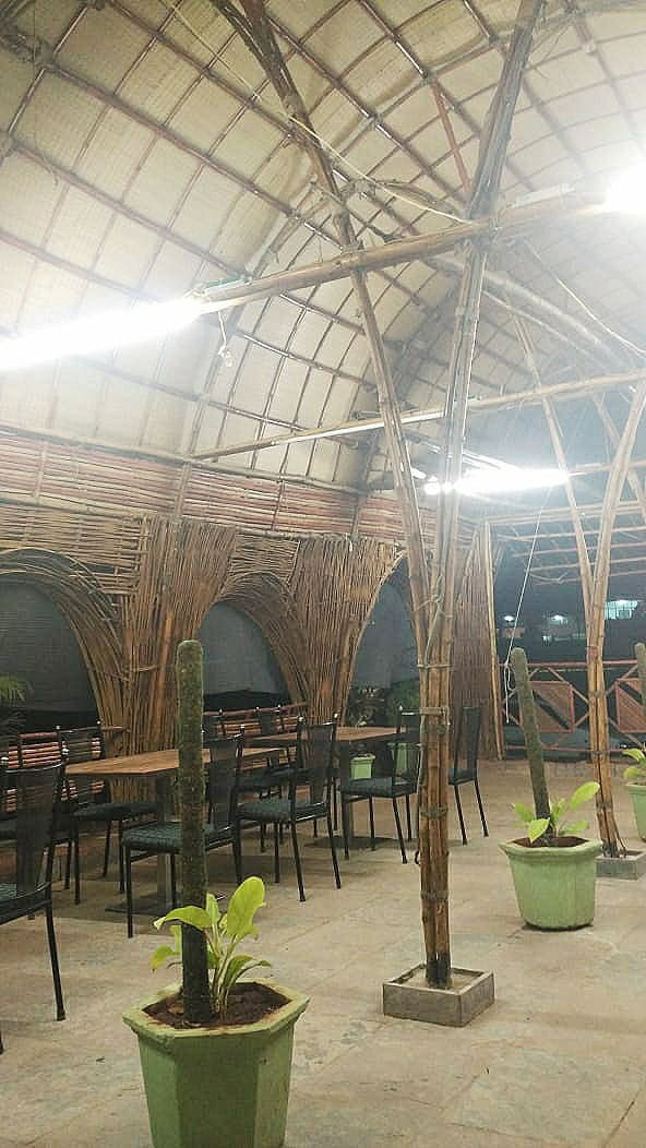 Bamboo Vault- Elliptical Barrel Vault
