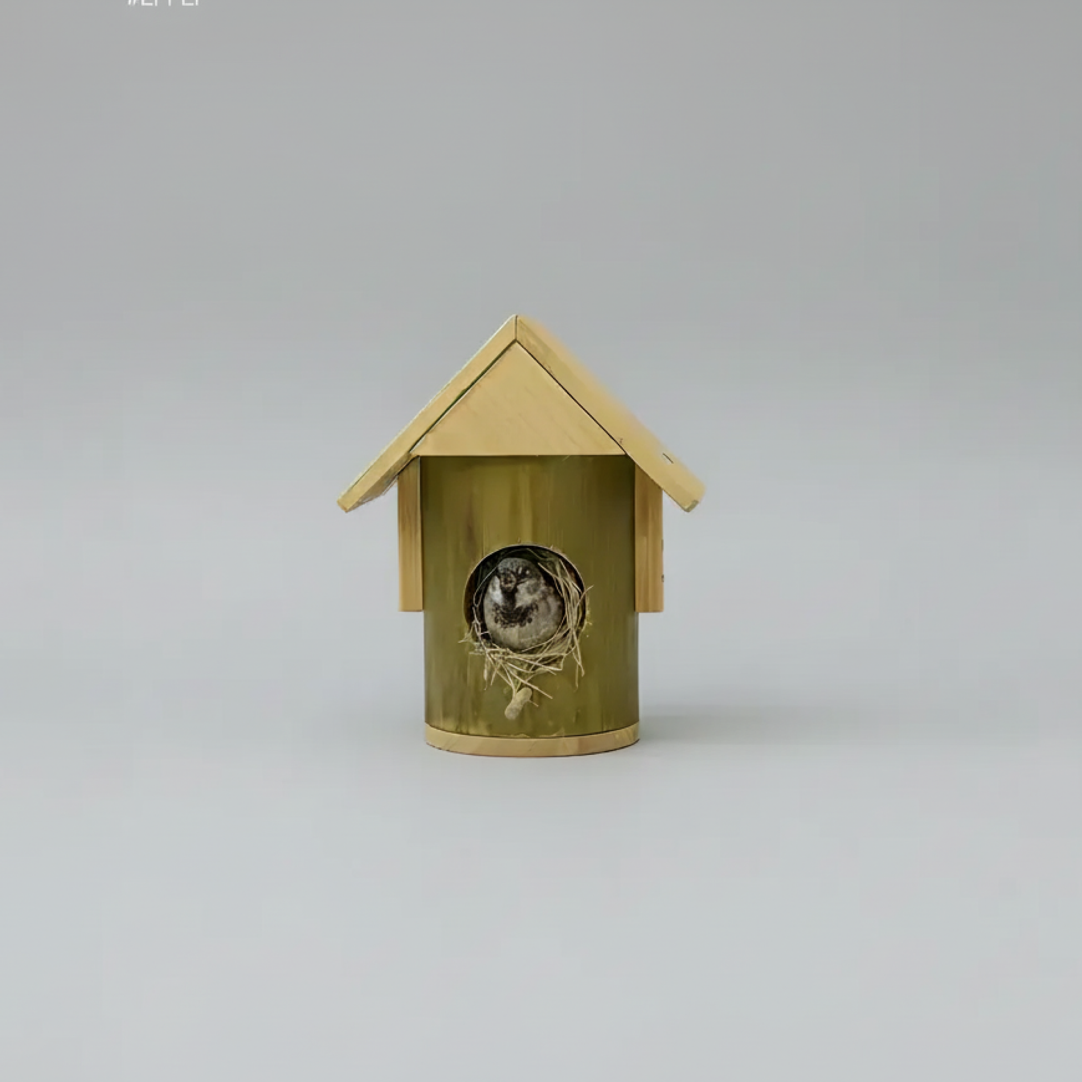 Nest small bird