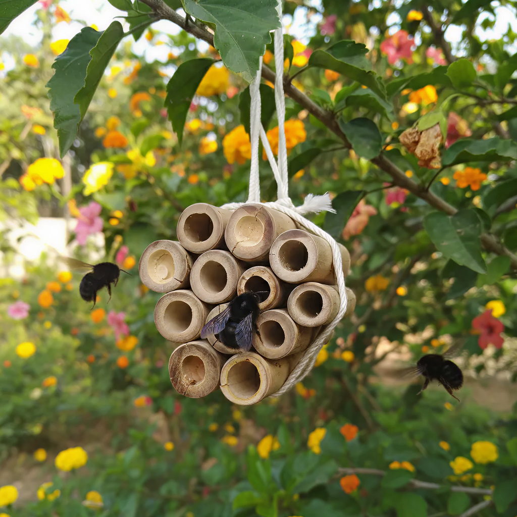 Bumble bee comb